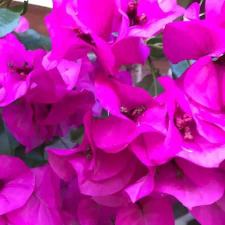 Gane Landetxea * Barrika