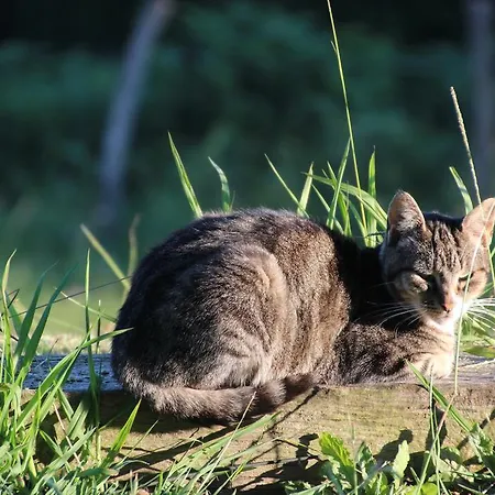 Landhuis Gane Landetxea *