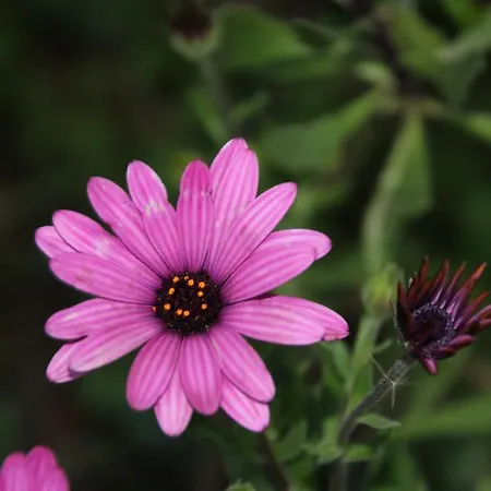 Gane Landetxea Barrika